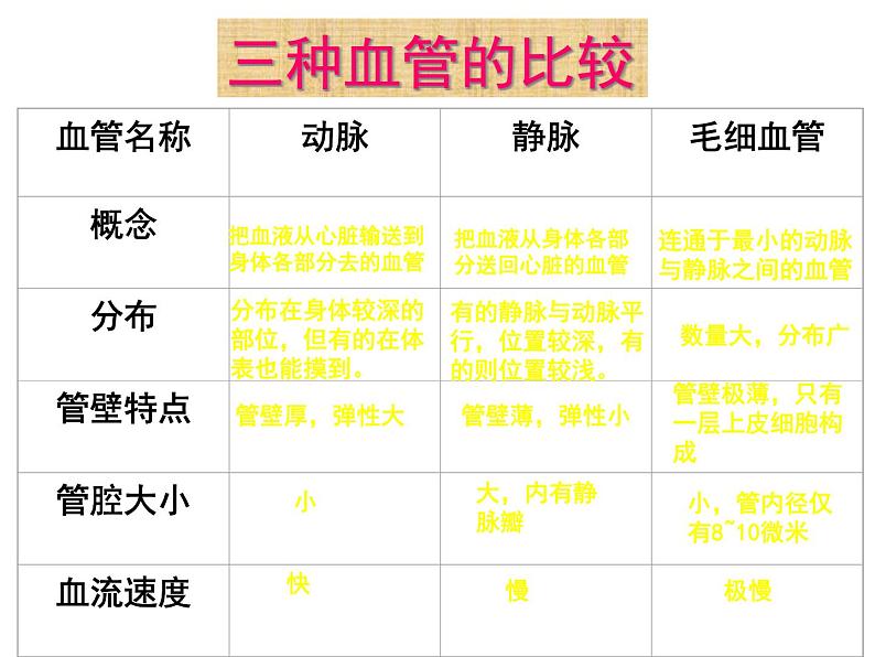 人教版七年级生物下册4-2血流的管道——血管(2)课件第7页