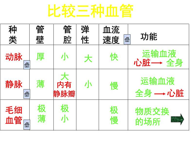 人教版七年级生物下册4-2血流的管道——血管(2)课件第8页