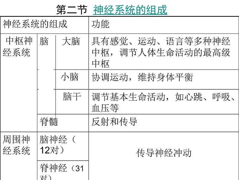 人教版七年级生物下册6-2神经系统的组成(2)课件第2页