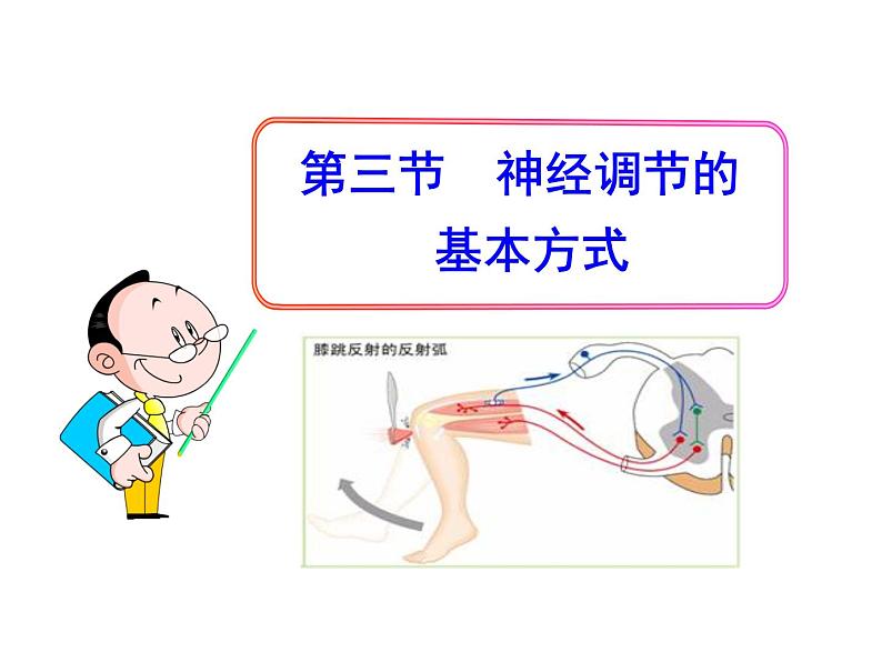 人教版七年级生物下册6-3神经调节的基本方式(2)课件01