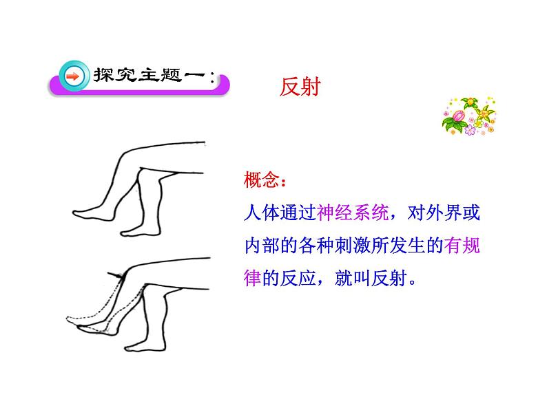 人教版七年级生物下册6-3神经调节的基本方式(2)课件05