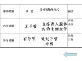 人教版七年级生物下册6-4激素调节(1)课件