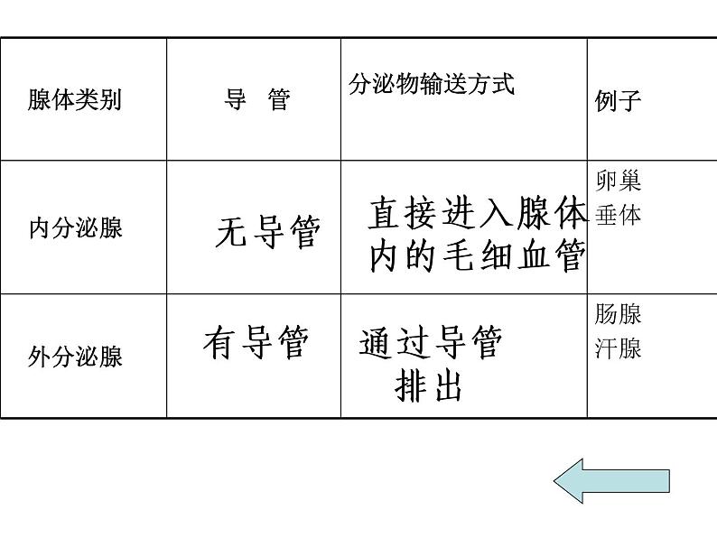 人教版七年级生物下册6-4激素调节(1)课件第5页