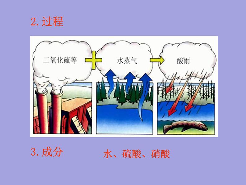 人教版七年级生物下册7-2探究环境污染对生物的影响(2)课件08