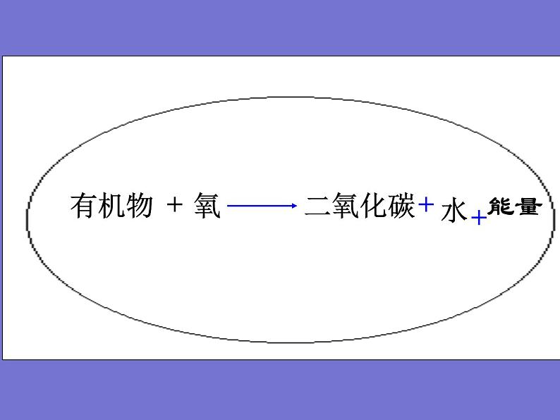 人教版七年级生物下册第五章人体内废物的排出(1)课件02