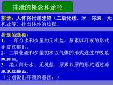 人教版七年级生物下册第五章人体内废物的排出(1)课件