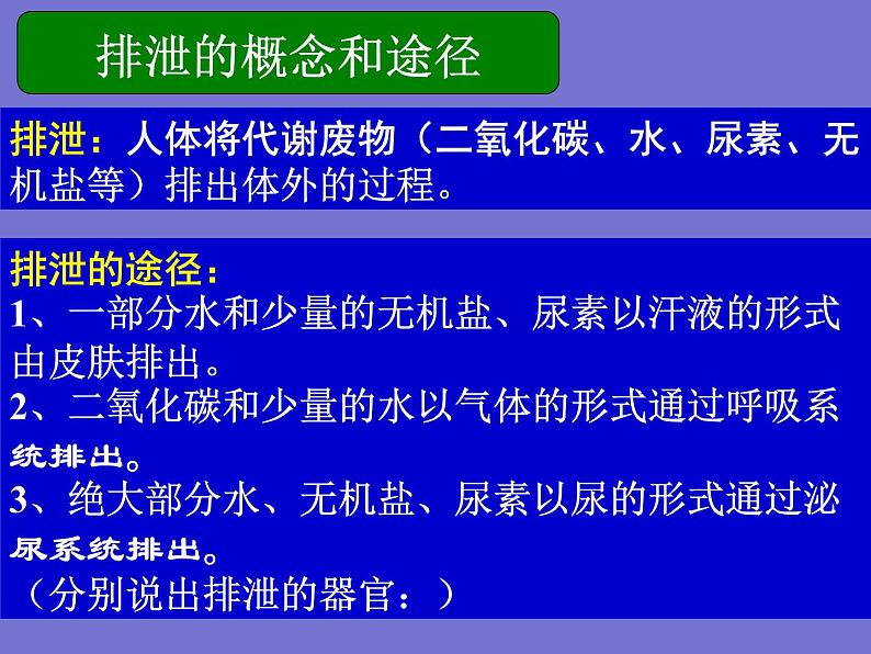 人教版七年级生物下册第五章人体内废物的排出(1)课件04