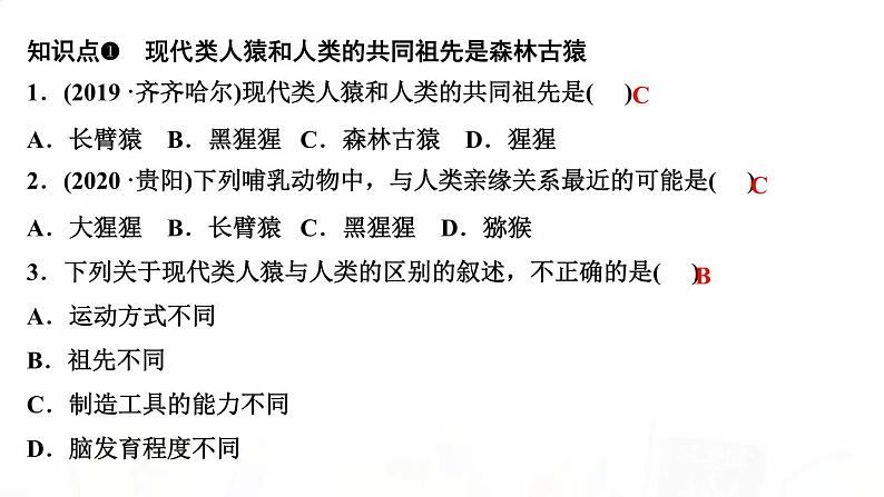 人教版七年级生物下册第一节人类的起源和发展作业课件第3页