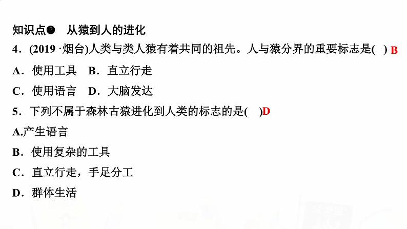 人教版七年级生物下册第一节人类的起源和发展作业课件第4页