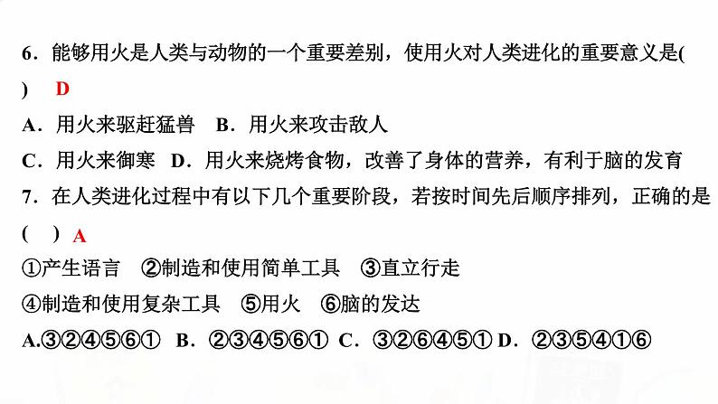 人教版七年级生物下册第一节人类的起源和发展作业课件第5页