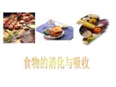 人教版七年级生物下册2-2生物消化与吸收(1)课件