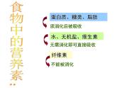 人教版七年级生物下册2-2生物消化与吸收(1)课件