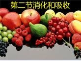 人教版七年级生物下册2-2生物消化与吸收(3)课件