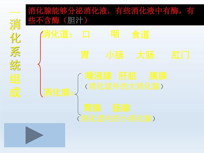 人教版七年级生物下册2-2生物消化与吸收(3)课件05