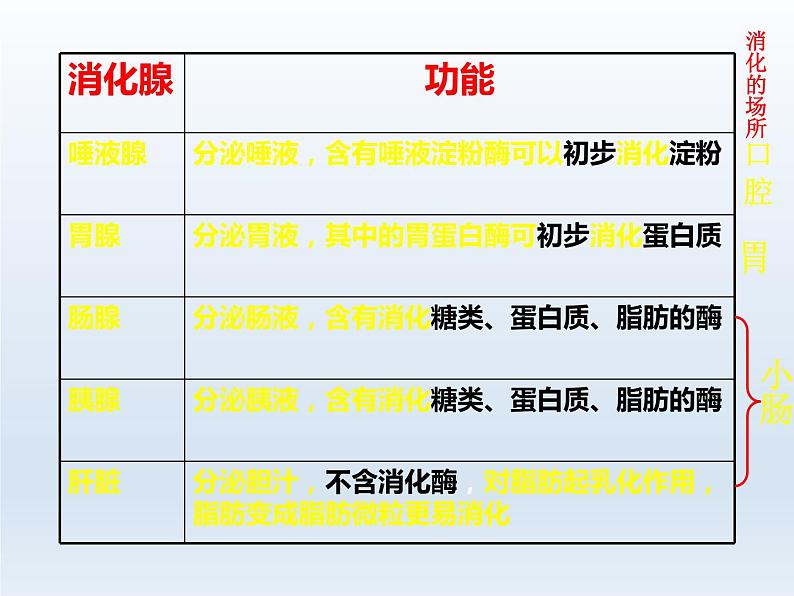 人教版七年级生物下册2-2生物消化与吸收(3)课件06