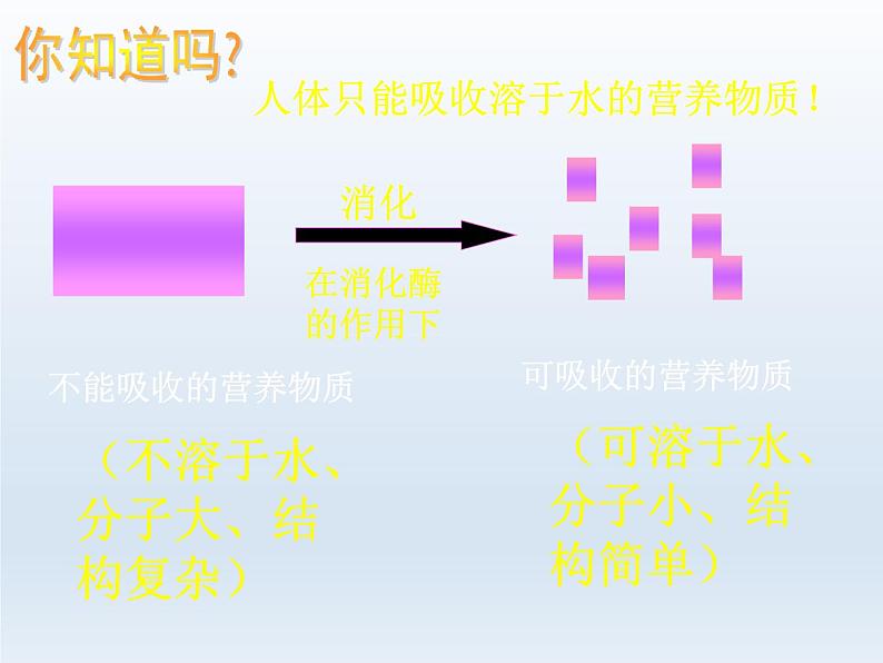 人教版七年级生物下册2-2生物消化与吸收(3)课件07