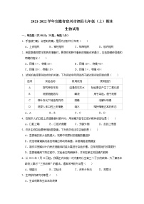 安徽省宿州市泗县2021-2022学年七年级上学期期末教学质量检测生物试卷