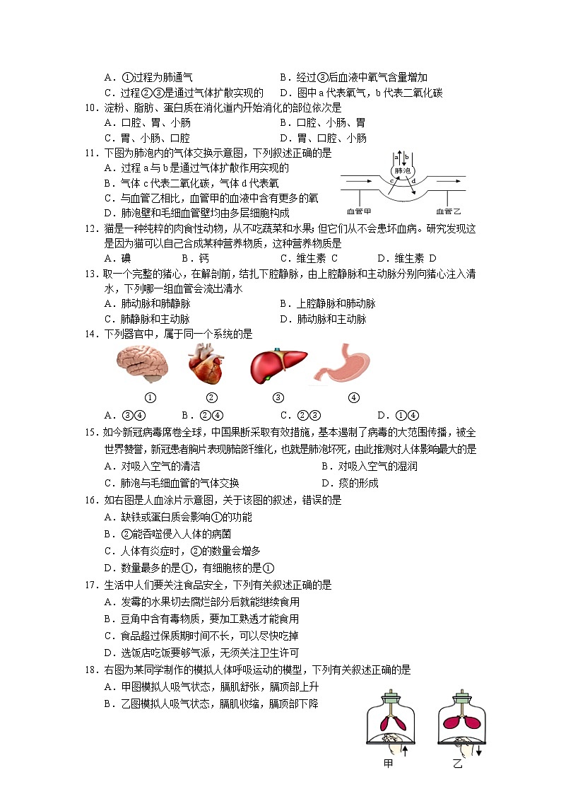 福建省龙岩市漳平市2021-2022学年七年级下学期期中阶段性练习生物试卷第2页