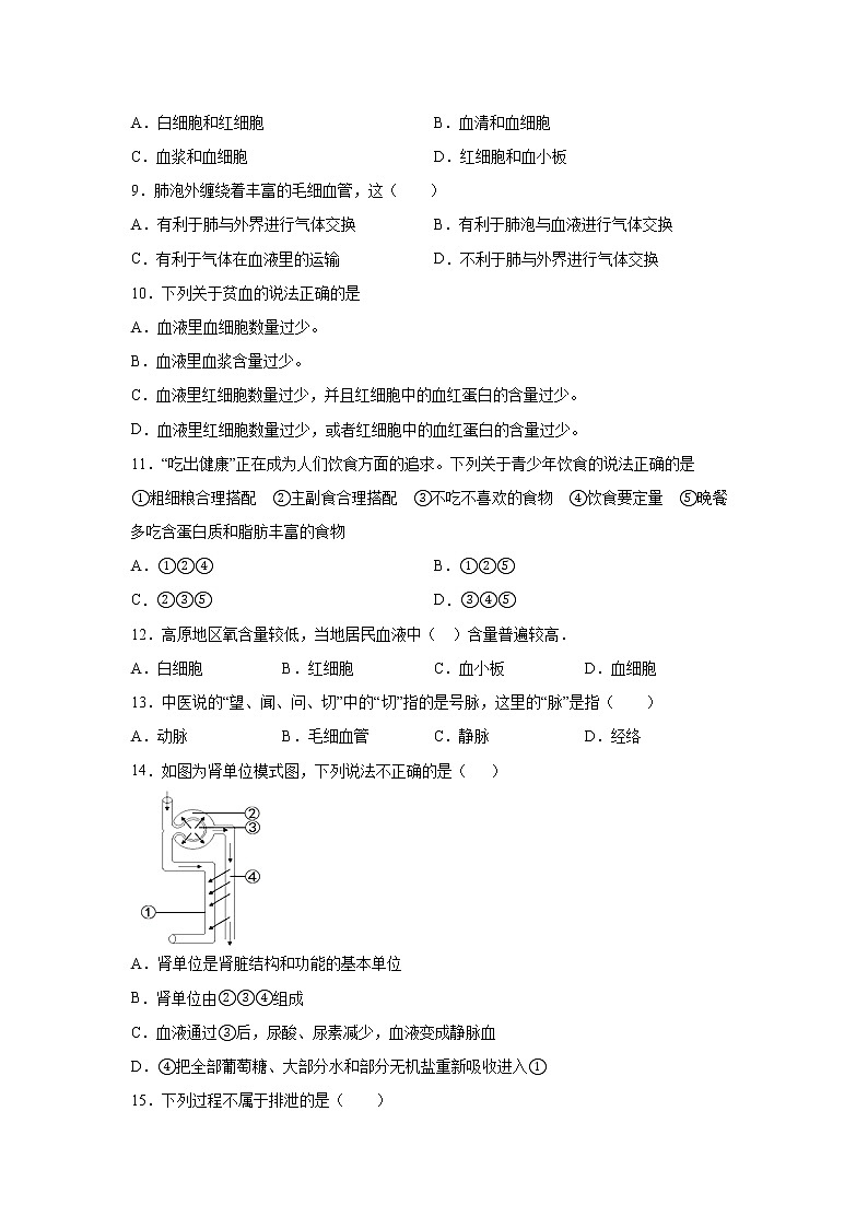 甘肃省金昌市2020-2021学年七年级下学期期末考试生物试卷02