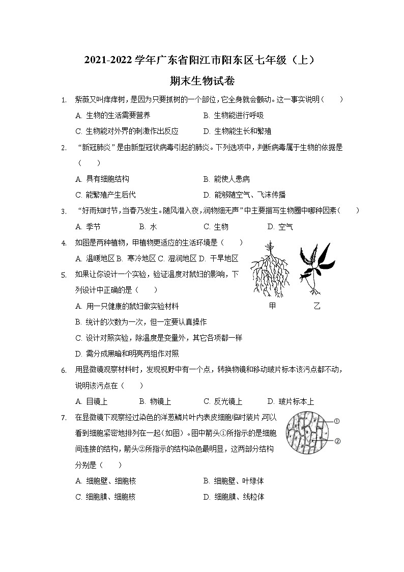 广东省阳江市阳东区2021-2022学年七年级上学期期末考试生物试卷01