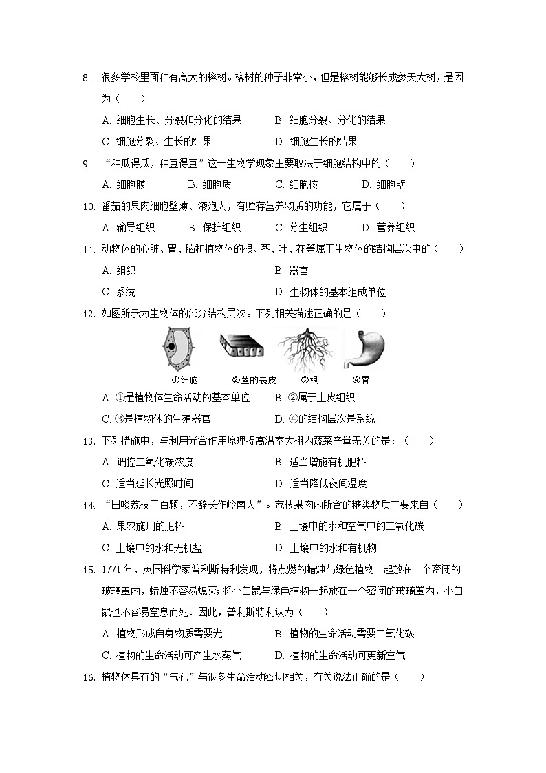 广东省阳江市阳东区2021-2022学年七年级上学期期末考试生物试卷02