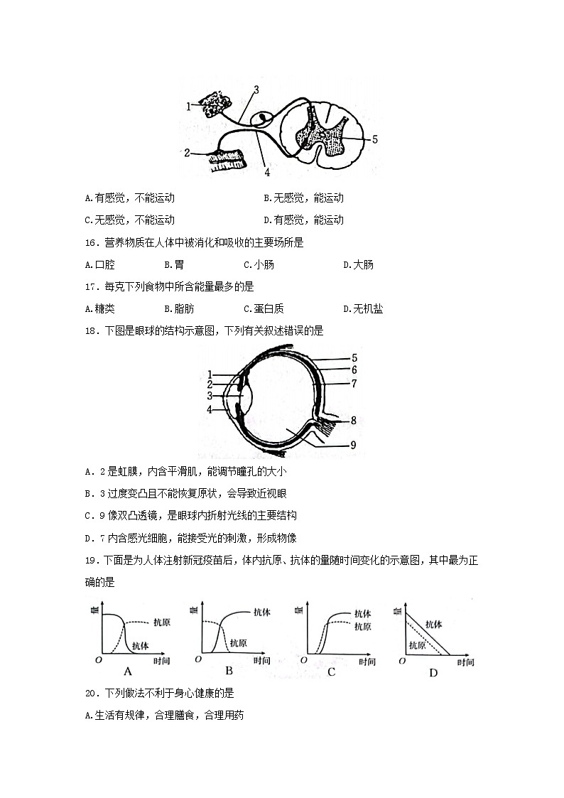 河南省安阳市安阳县2021-2022学年七年级下学期期末考试生物试卷03