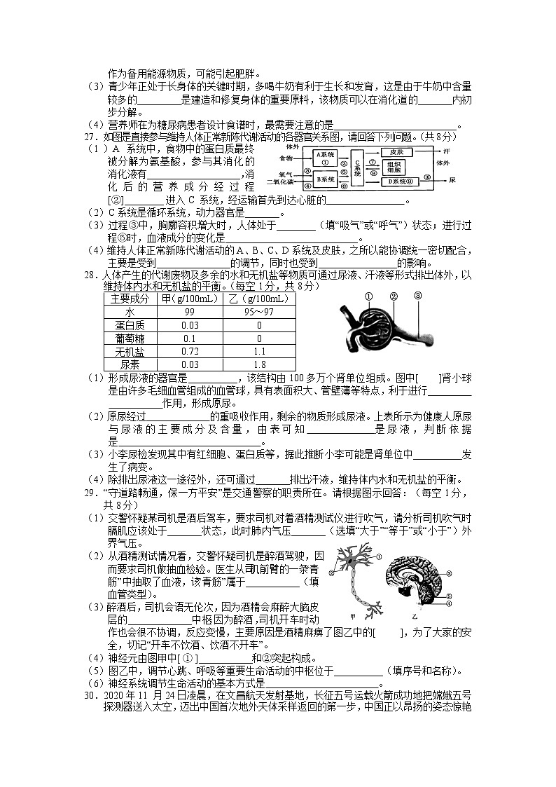 湖南省张家界市永定区2020-2021学年七年级下学期期末考试生物试卷03