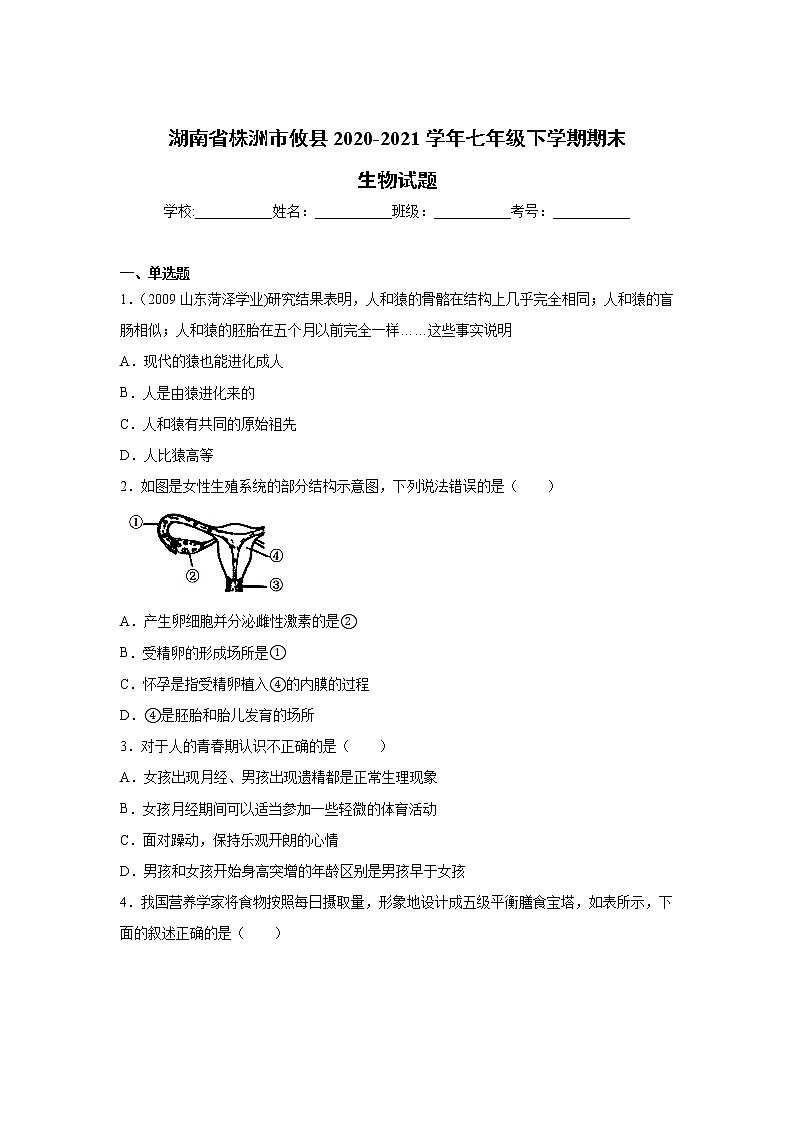 湖南省株洲市攸县2020-2021学年七年级下学期期末考试生物试卷01