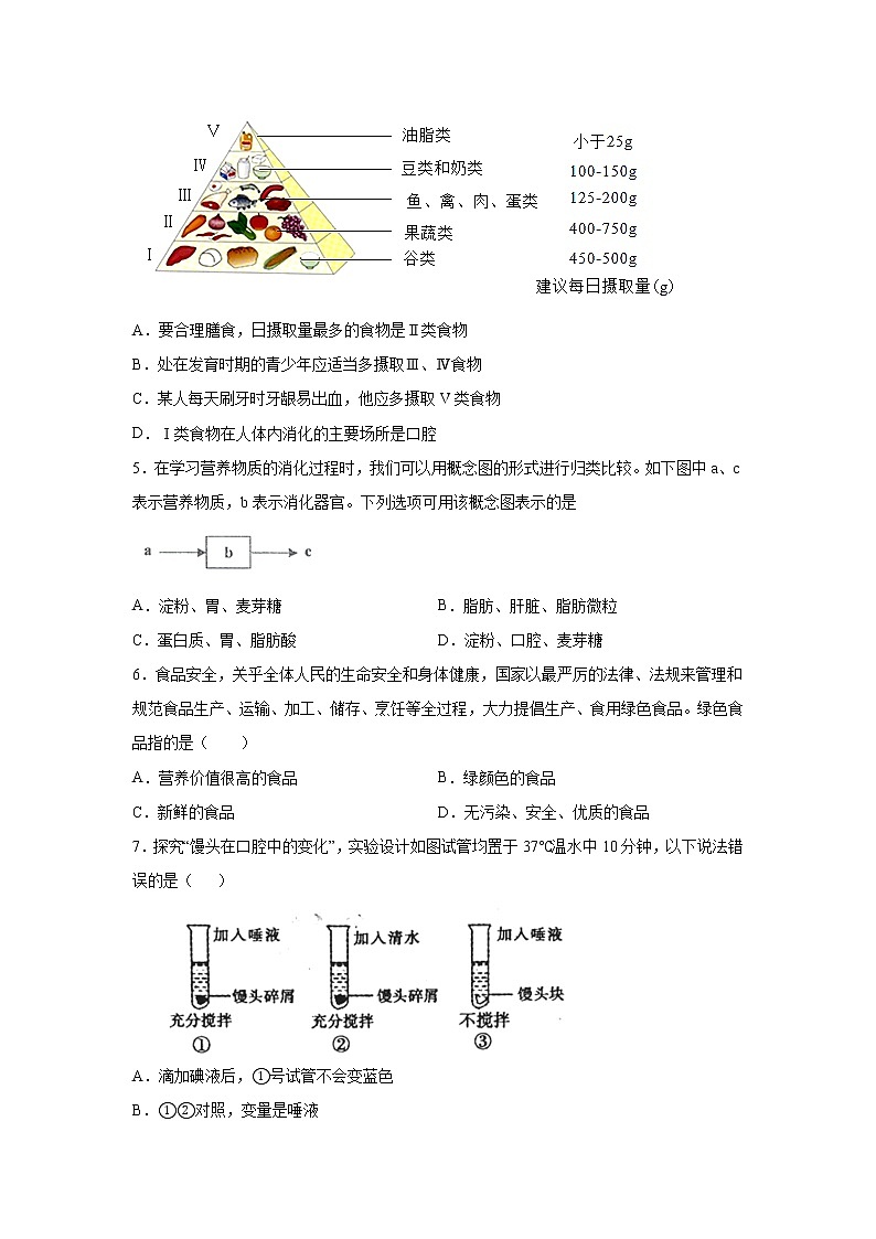 湖南省株洲市攸县2020-2021学年七年级下学期期末考试生物试卷02