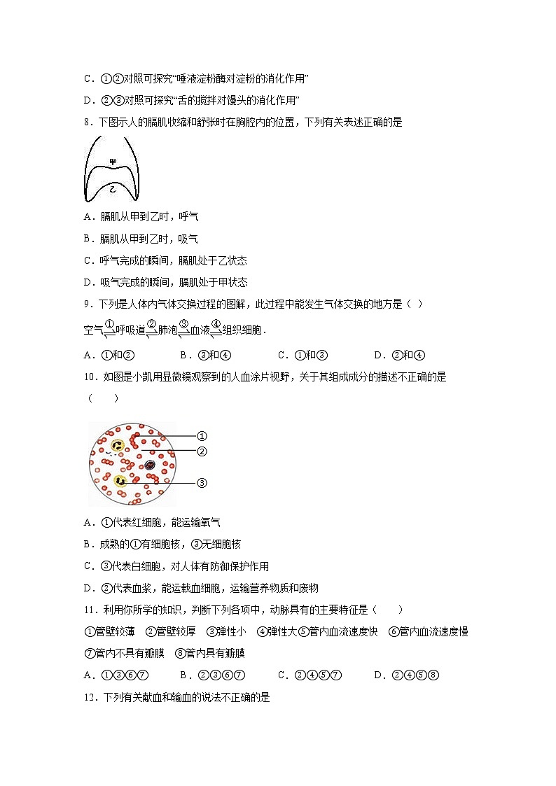 湖南省株洲市攸县2020-2021学年七年级下学期期末考试生物试卷03