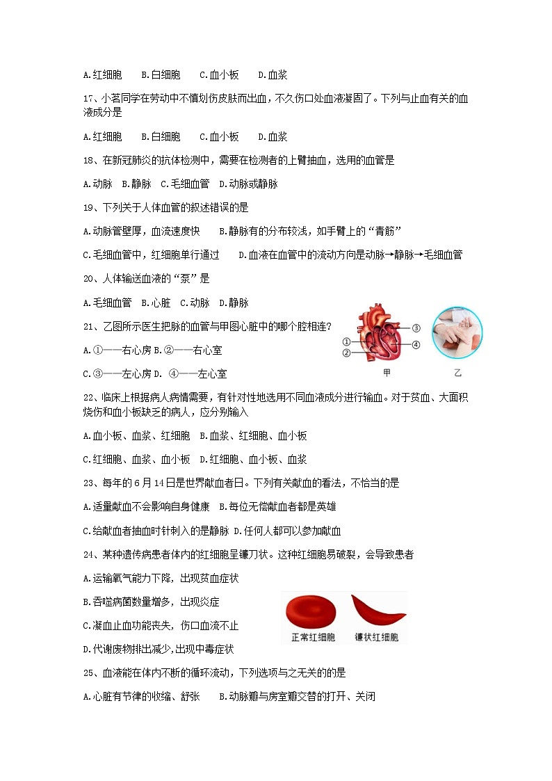 湖南省长沙市浏阳市2021-2022学年七年级下学期期中考试生物试卷03