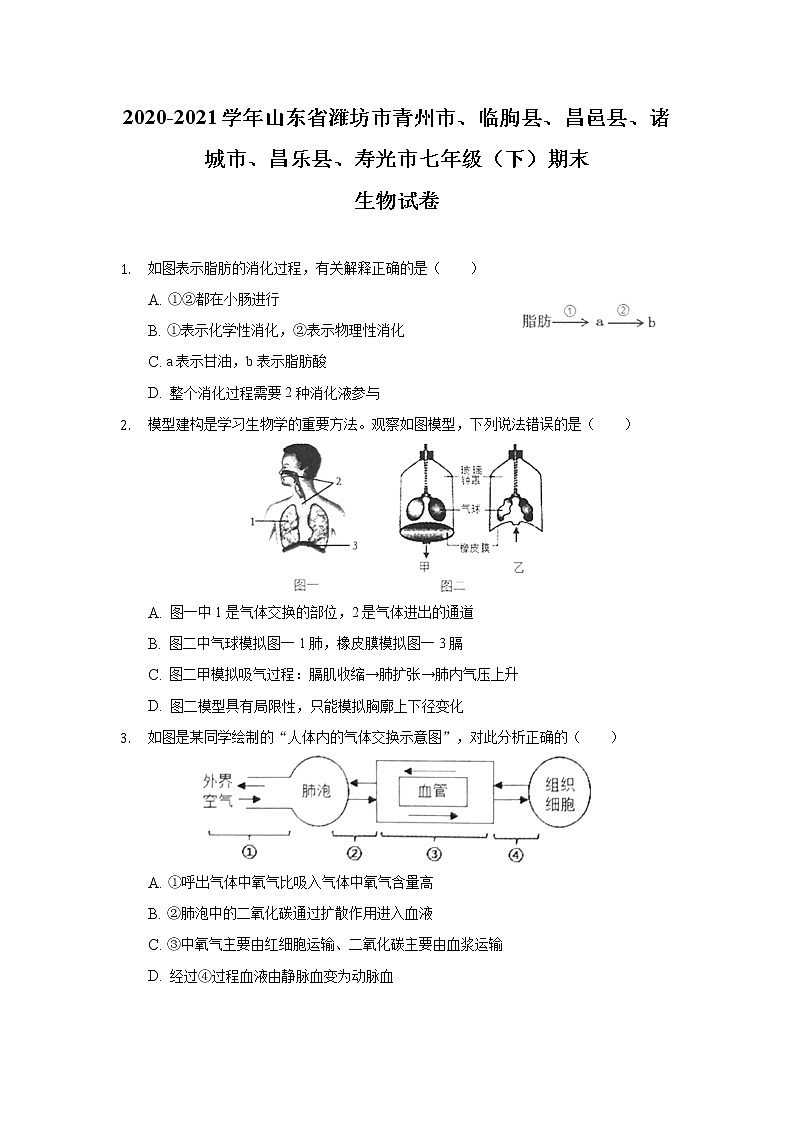 山东省潍坊市（青州市、临朐县、昌邑县、诸城市、昌乐县、寿光市）2020-2021学年七年级下学期期末考试生物试卷第1页