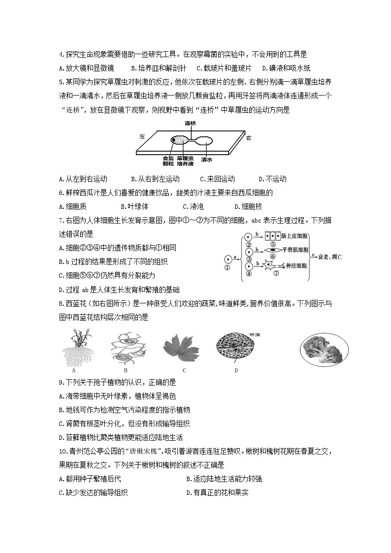 山东省潍坊市（青州市、临朐县、昌邑县、诸城市、昌乐县、寿光市）2021-2022学年七年级上学期期末考试生物试卷第2页