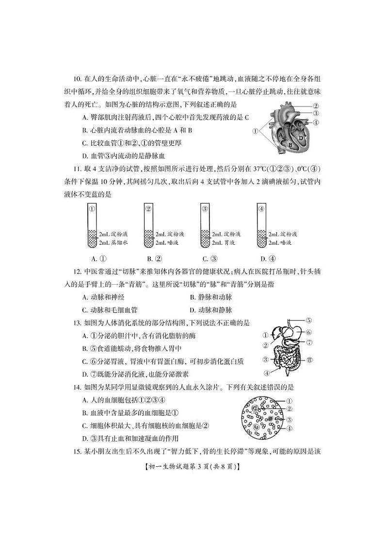 山西省运城市盐湖区2021-2022学年七年级下学期期末质量监测生物试卷（PDF版）第3页