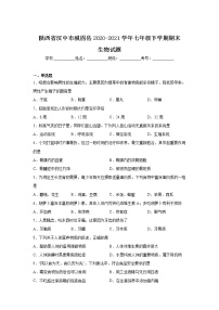 陕西省汉中市城固县2020-2021学年七年级下学期期末考试生物试卷