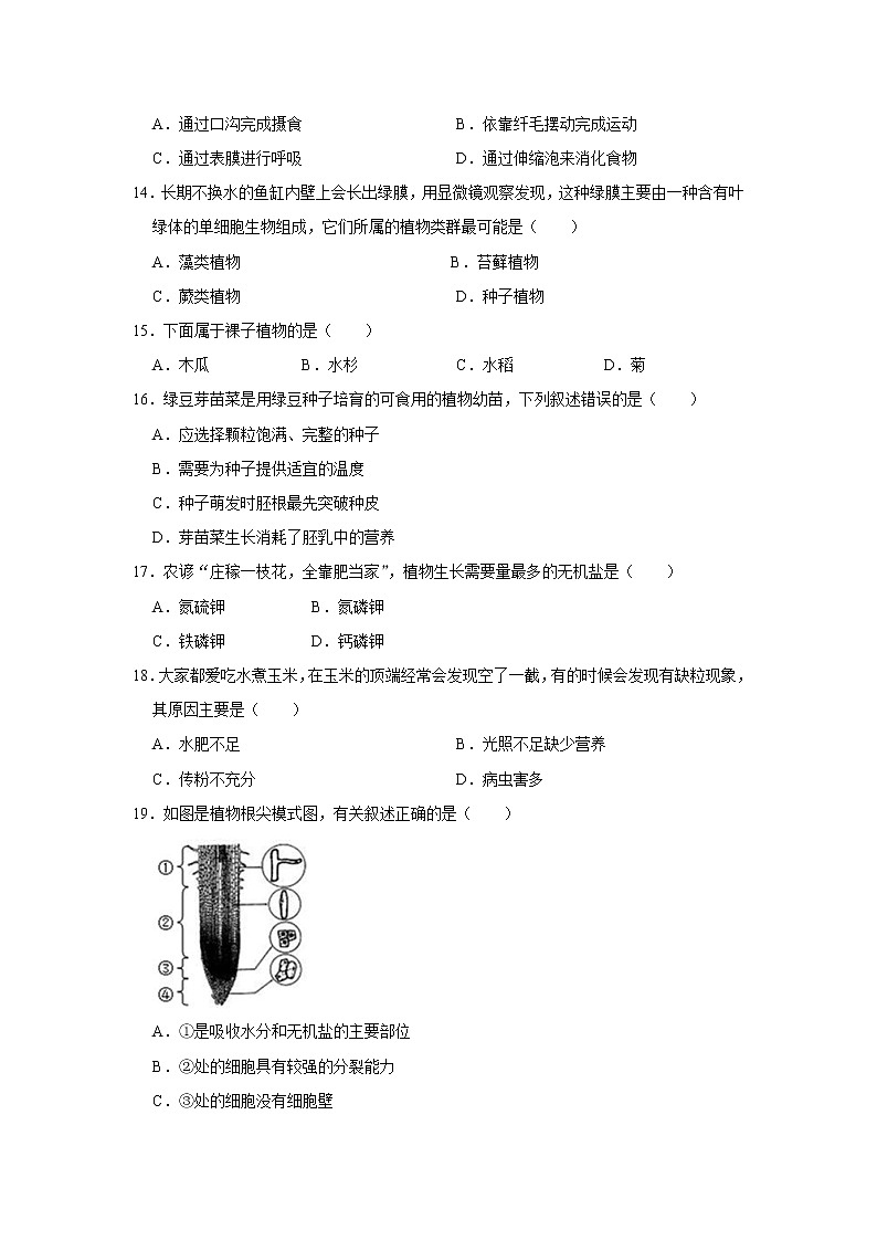 四川省绵阳市江油市八校2021-2022学年七年级下学期开学考试生物试卷03
