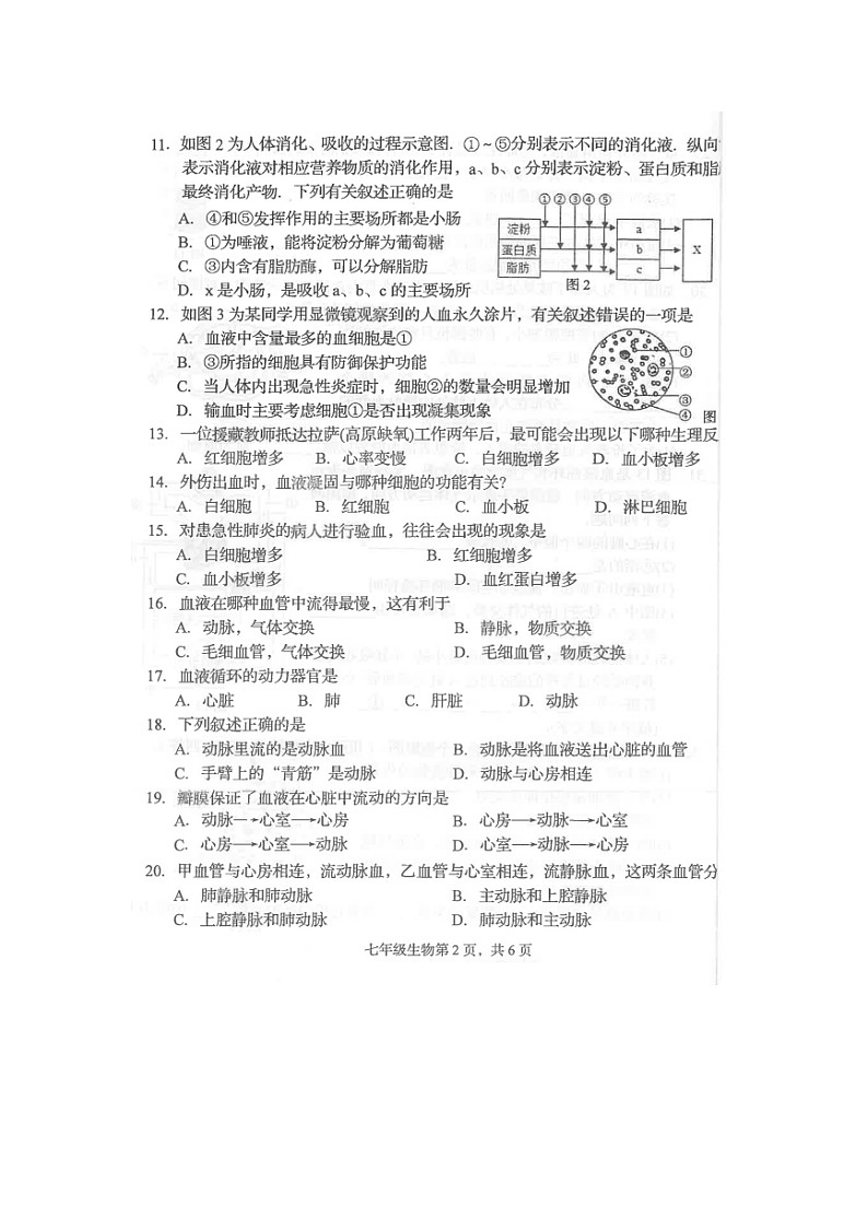 望都县第二中学2021-2022学年七年级下学期第一次课堂练习生物试卷（扫描版）第2页