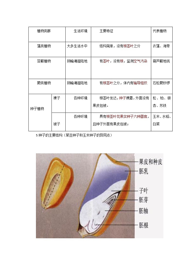备战2023年新中考二轮生物专题导练 考点03 绿色开花植物的一生02