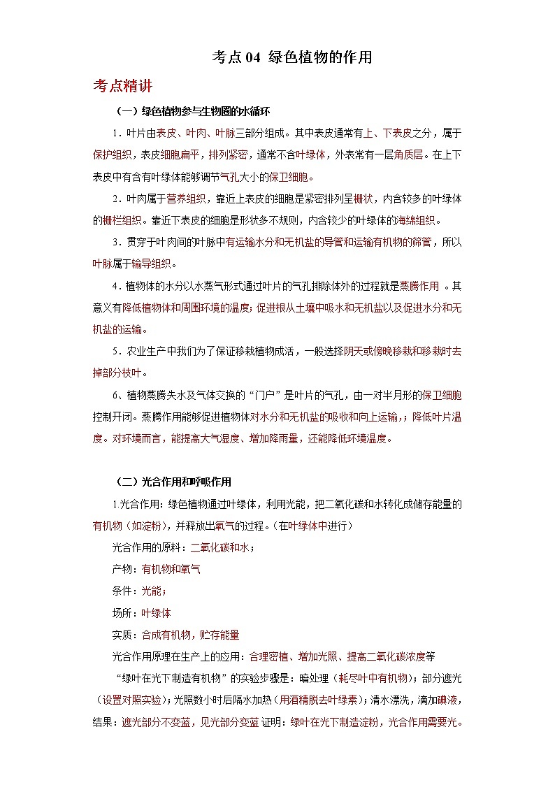 备战2023年新中考二轮生物专题导练 考点04 绿色植物的作用01
