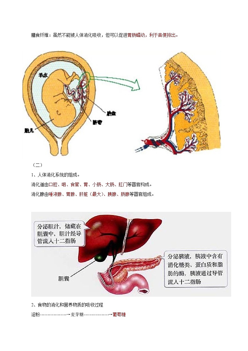 备战2023年新中考二轮生物专题导练 考点05 营养物质的消化和吸收02