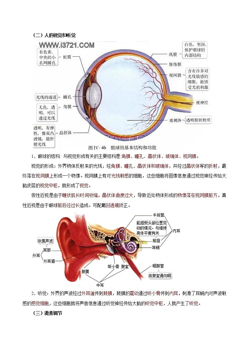 备战2023年新中考二轮生物专题导练 考点07 人体生命活动的调节（解析版）第2页