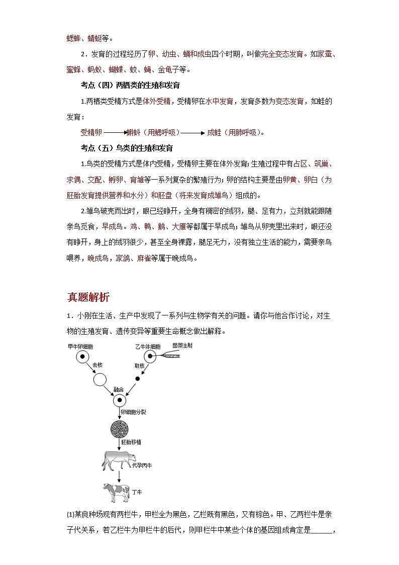 备战2023年新中考二轮生物专题导练 考点10 生物的生殖和发育02