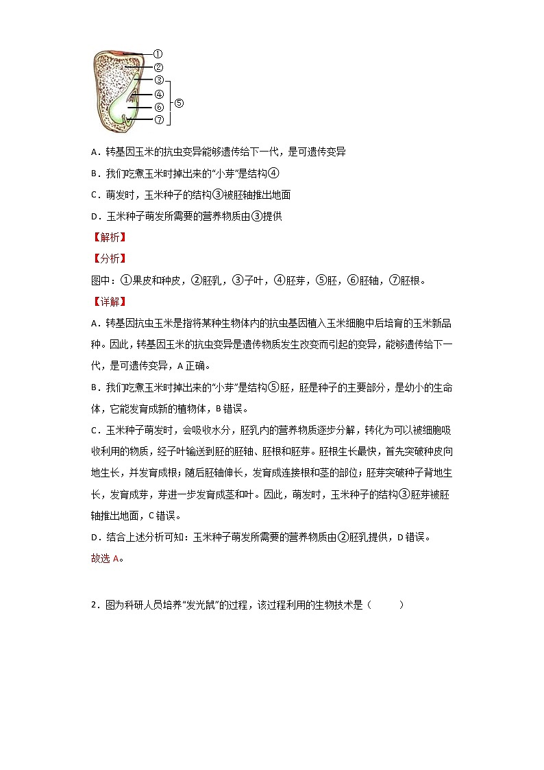 备战2023年新中考二轮生物专题导练 考点12 生物技术02