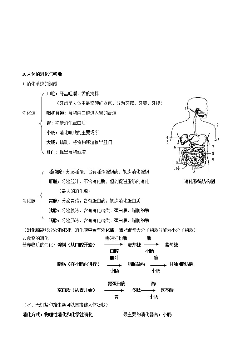备战2023年新中考二轮生物专题导练 考点19 人的由来和人体的营养03