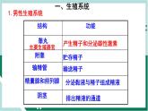 4.1.2 人的生殖（精编课件+练习）精编七年级生物下册同步备课系列（人教版）