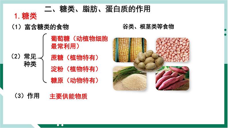 4.2.1 食物中的营养物质（备课件）精编七年级生物下册同步备课系列（人教版）第4页
