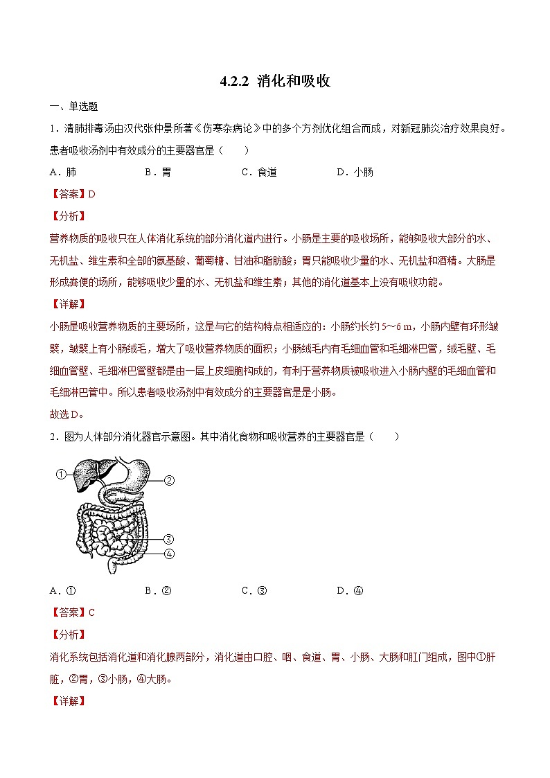 4.2.2 消化和吸收（精编课件+练习）精编七年级生物下册同步备课系列（人教版）01