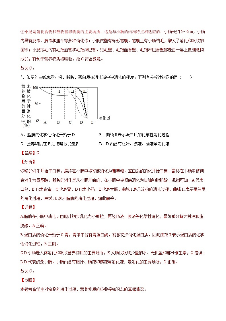 4.2.2 消化和吸收（精编课件+练习）精编七年级生物下册同步备课系列（人教版）02