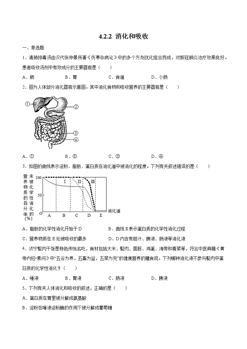 4.2.2 消化和吸收（精编课件+练习）精编七年级生物下册同步备课系列（人教版）01