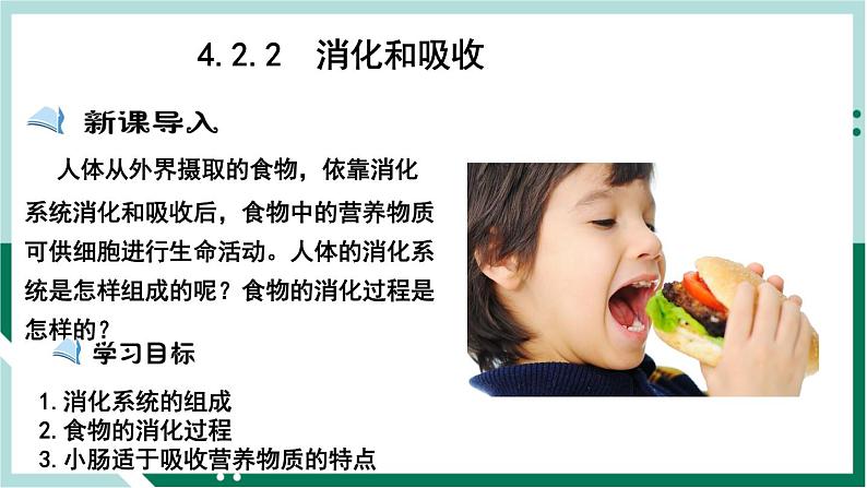 4.2.2 消化和吸收（精编课件+练习）精编七年级生物下册同步备课系列（人教版）01